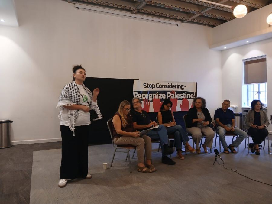 حركات السلام تعلن دعمها للاعتراف الدولي بدولة فلسطين